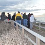 Cambria_0249 (November 05, 2011)